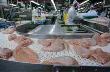  US$ 1,56 bilhão: exportação de carne do Paraná cresce 20,8% nos primeiros meses de 2025